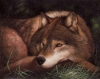 Lying in the Grass